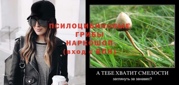 стафф Лагань