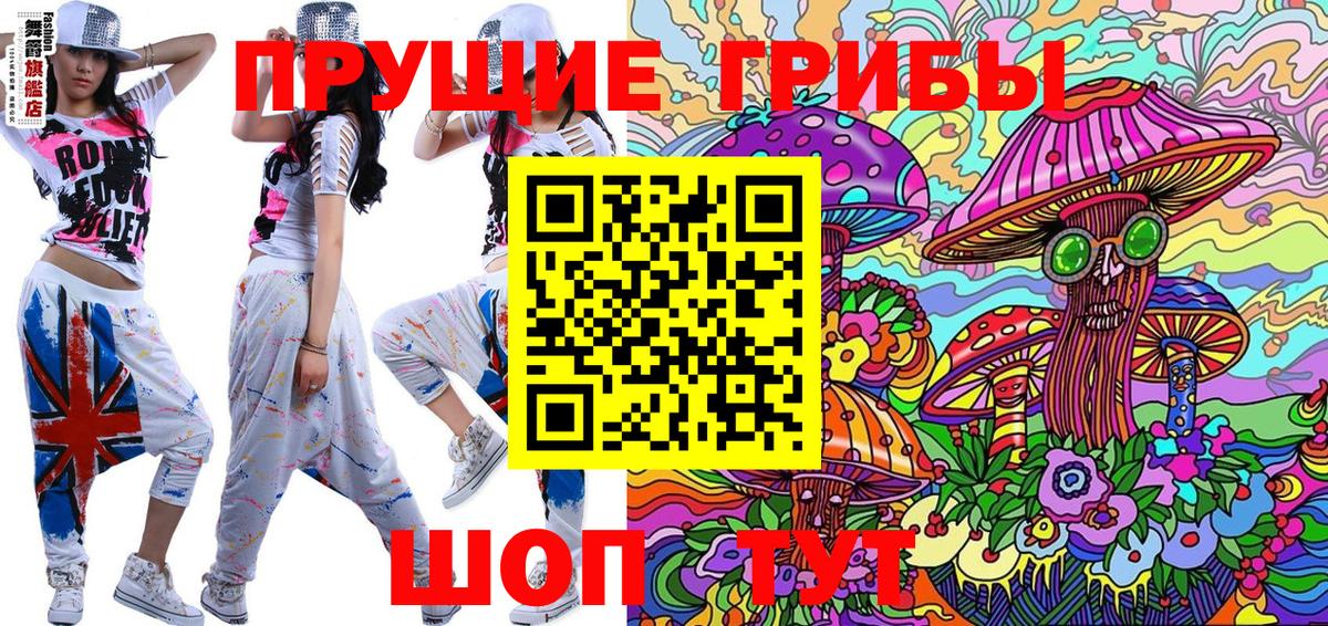 Алейск  Псилоцибиновые грибы мицелий  Вход с VPN 